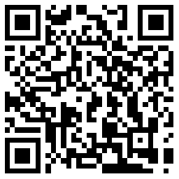 联通松花卡29元月包160G通用流量+100分钟通话